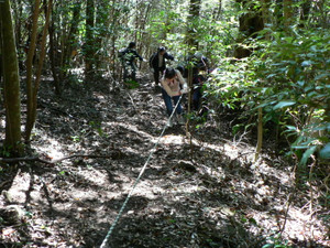 P1120220_2 P1120220_2
