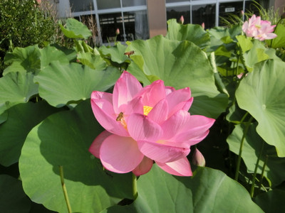 Cimg0312