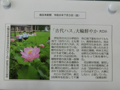 Cimg3231