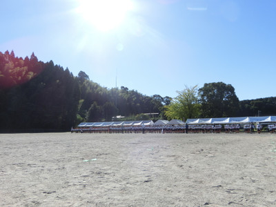 Photo_3