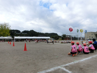 Photo_4