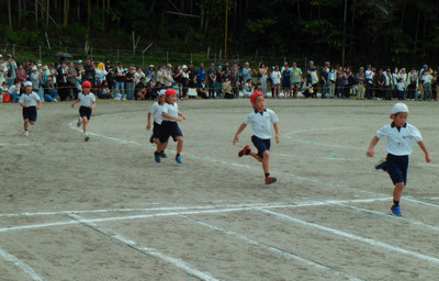 Photo_17