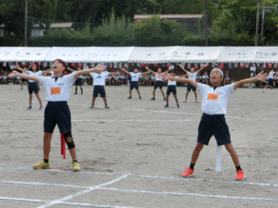 Photo_2