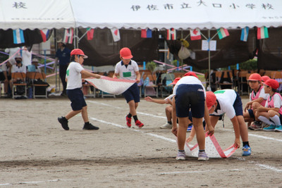 Photo_8